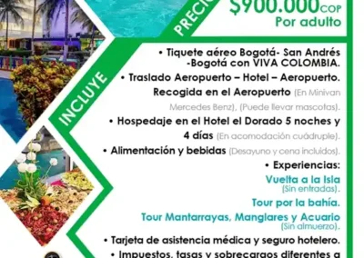 Graphic design for personal brands and growing businesses, including editorial design, social media graphics, infographics, packaging, and print assets — Veronica Godoy vgodoy